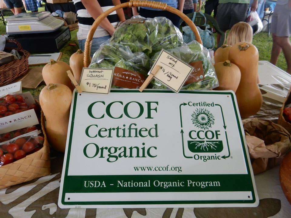 organic-produce.jpg