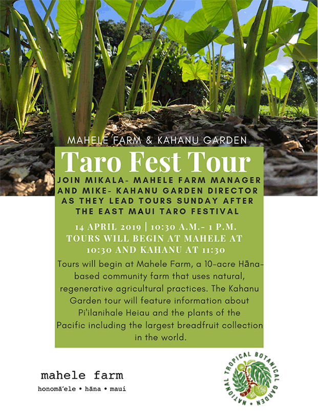 Taro Fest Tour